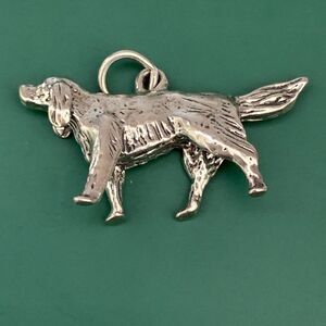 Irish Setter Dog Sterling Silver Jewelry Charm #dog #pet